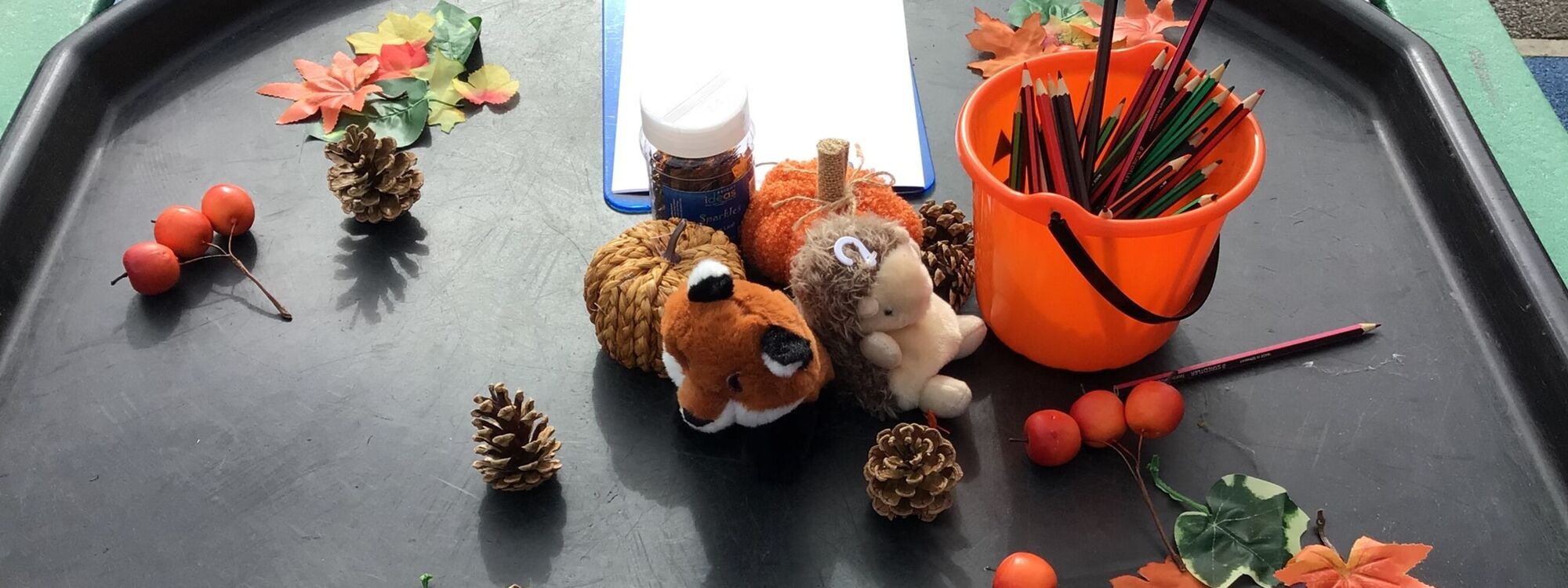 Header Image 1